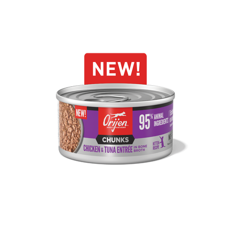 Canned cat food for kittens new arrivals